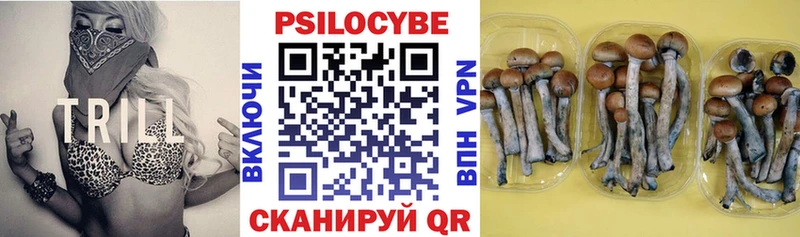 Галлюциногенные грибы прущие грибы  как найти наркотики  Усть-Лабинск 
